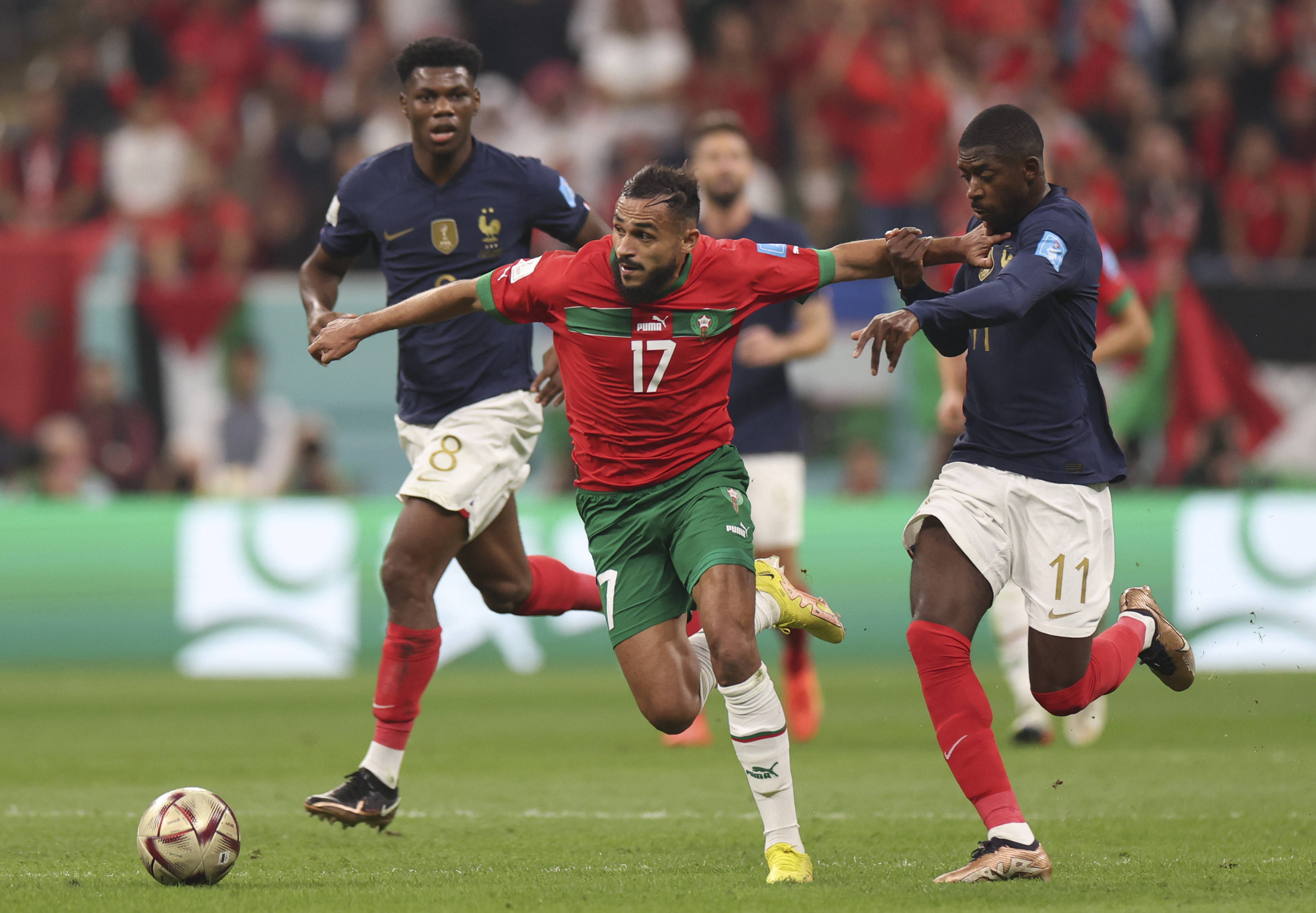 为球队争取 为球队争取